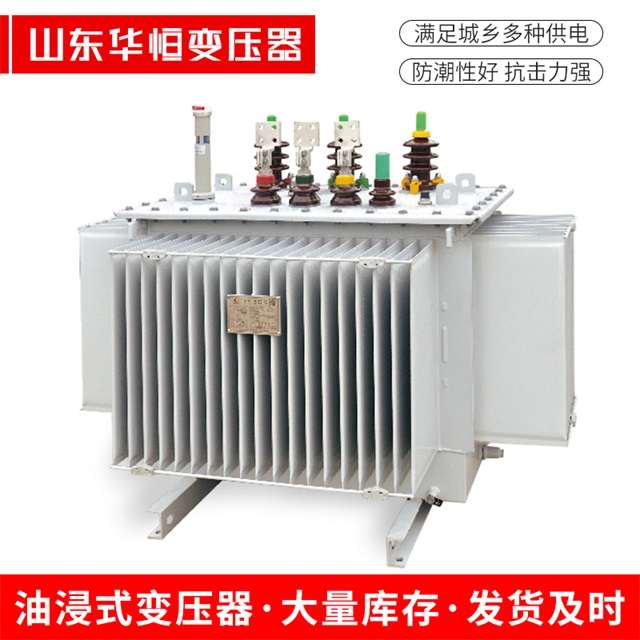 S13-10000/35仪陇仪陇仪陇电力变压器