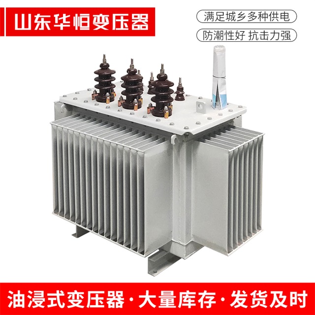 S13-10000/35仪陇仪陇仪陇油浸式变压器厂家